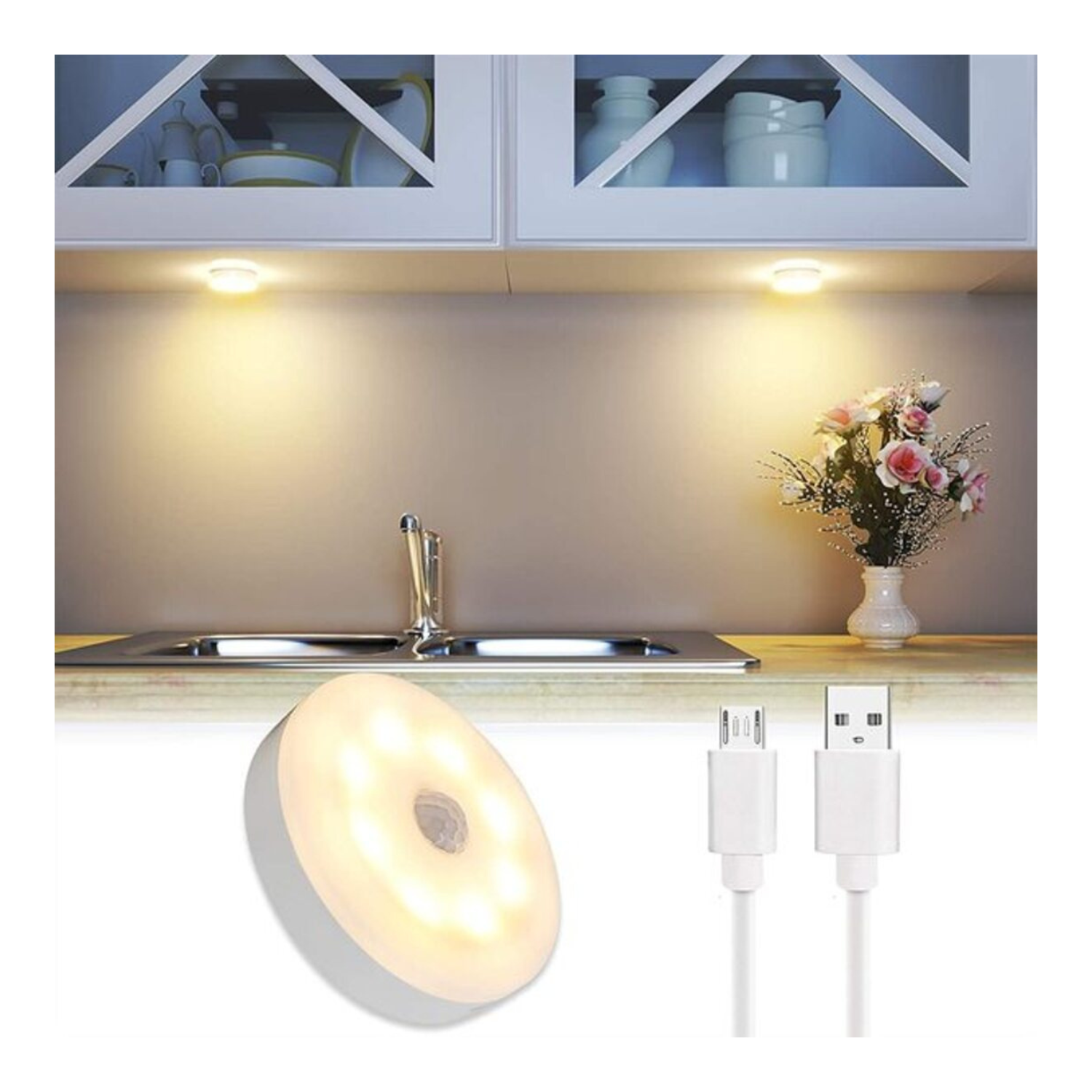 LED Motion Sensor Light